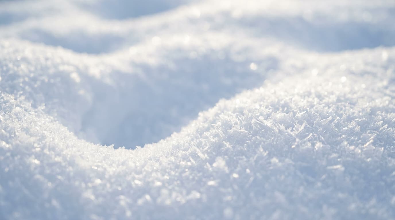 积雪像镜子一样反射阳光,导致地面无法吸收热量,加上内陆散热快,形成了极端的低温环境。