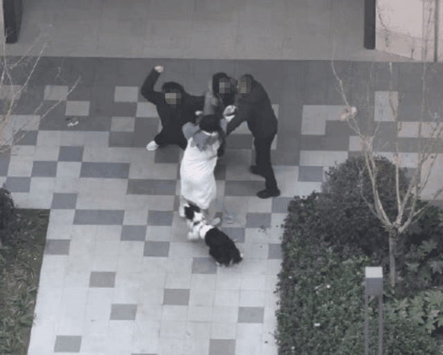 Shadows Over the Leash: The Shanghai Neighborhood Dispute That Enraged the Internet